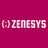 Zenesys Technosys Pvt. Ltd.